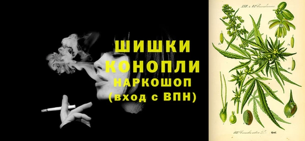 стафф Новодвинск
