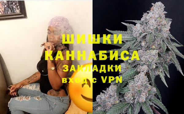 амф Новозыбков