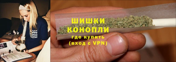 амф Новозыбков