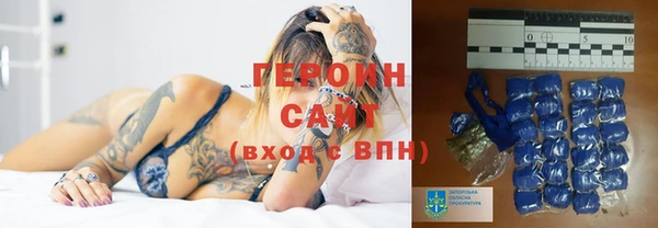 стафф Новодвинск