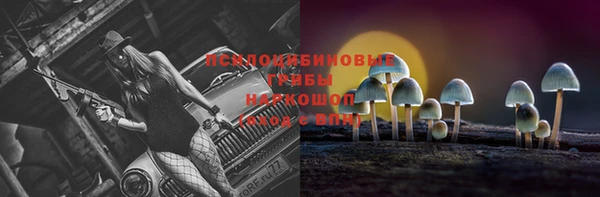 каннабис Новокубанск