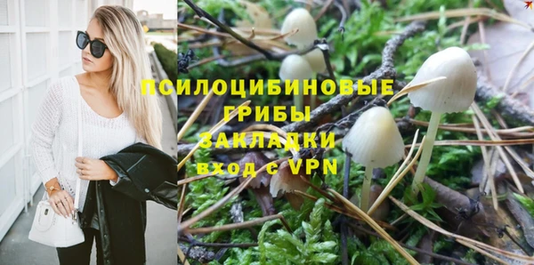 стафф Новодвинск