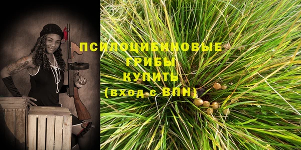 амф Новозыбков