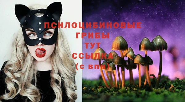 амф Новозыбков