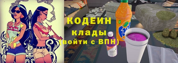 стафф Новодвинск