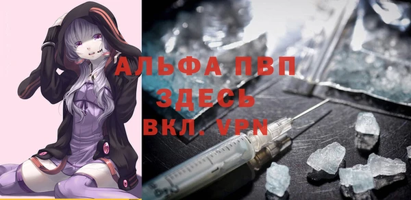 амф Новозыбков