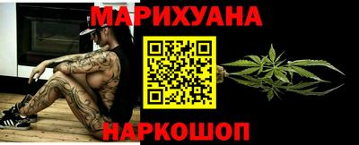mdpv Гатчина