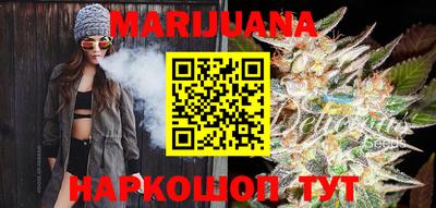 mdpv Гатчина