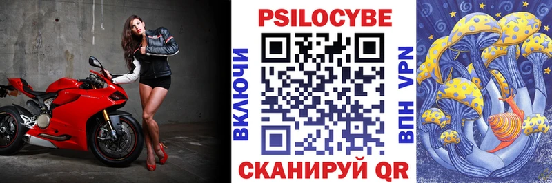 блэк спрут зеркало  купить  сайты  Советская Гавань  Псилоцибиновые грибы Psilocybe 