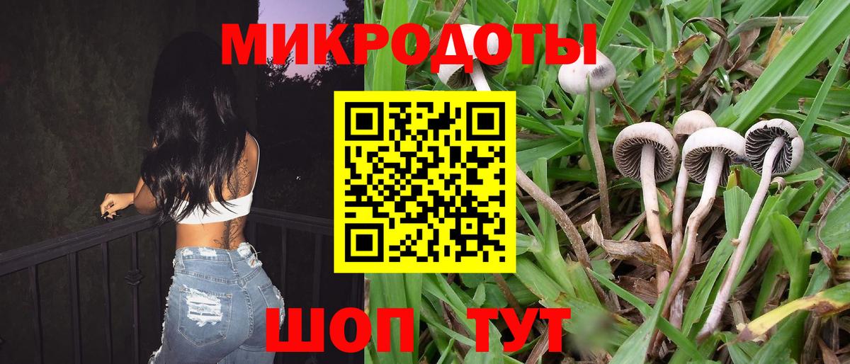 Галлюциногенные грибы GOLDEN TEACHER Советская Гавань