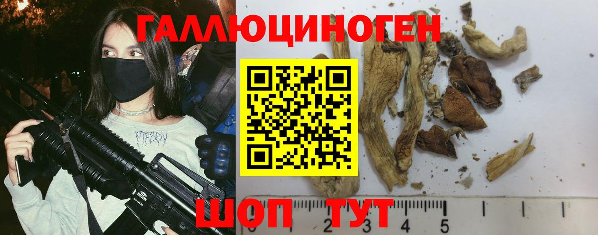 Советская Гавань  Галлюциногенные грибы мухоморы  Вход с VPN 