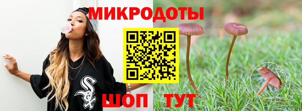 Псилоцибиновые грибы Psilocybe  Псилоцибиновые грибы MAGIC MUSHROOMS  Советская Гавань 
